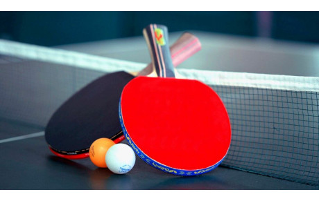 Tennis de Table Provinois